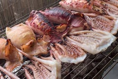 Große Kalmare werden auf Holzkohle gebraten stockfoto Große Kalmare werden auf Holzkohle gebraten stockfoto