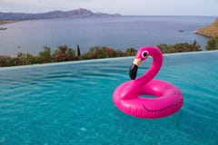 Großer rosa Flamingo für das Sweeming im Pool mit Seeansicht lizenzfreie stockbilder Großer rosa Flamingo für das Sweeming im Pool mit Seeansicht lizenzfreie stockbilder