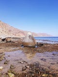 Großer Stein durch das Rote Meer stockfotografie Großer Stein durch das Rote Meer stockfotografie