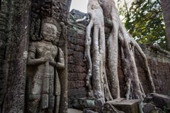 Großer Wächter Innerhalb der Ruinen von Angkor Wat Bäumen und Dschungel haben gesamte Gebäude übernommen Ta Prohm, Siem Reap kamb lizenzfreie stockfotografie Großer Wächter Innerhalb der Ruinen von Angkor Wat Bäumen und Dschungel haben gesamte Gebäude übernommen Ta Prohm, Siem Reap kamb lizenzfreie stockfotografie