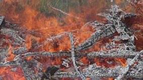 Großes Feuer und Rauch vom Feuer, Nahaufnahme, Pan, horizontales Panorama stock video Großes Feuer und Rauch vom Feuer, Nahaufnahme, Pan, horizontales Panorama stock video