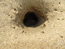 Großes Krabbenloch im Sand auf dem Strand an einem sonnigen Tag stockfotos Großes Krabbenloch im Sand auf dem Strand an einem sonnigen Tag stockfotos