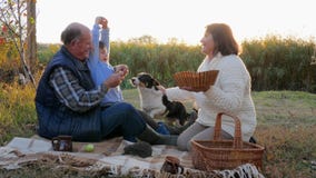 Großvater mit Enkelkind sitzen auf umfassendem nahem Haustier auf Picknick gegen Herbstnaturhintergrund stock video footage Großvater mit Enkelkind sitzen auf umfassendem nahem Haustier auf Picknick gegen Herbstnaturhintergrund stock video footage
