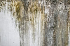 Grunge painted concrete wall texture royalty free stock photography Grunge painted concrete wall texture royalty free stock photography