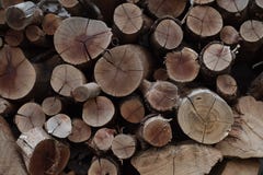Grungy wood texture stock photography Grungy wood texture stock photography