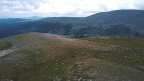 Grupa ludzi przy końską jazdą ono potyka się w Altai górach klamerka Turystyczny grupa ludzi na horseback rusza się wzdłuż zdjęcie wideo Grupa ludzi przy końską jazdą ono potyka się w Altai górach klamerka Turystyczny grupa ludzi na horseback rusza się wzdłuż zdjęcie wideo