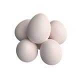 Grupo branco dos ovos da galinha isolado no fundo branco ilustração royalty free Grupo branco dos ovos da galinha isolado no fundo branco ilustração royalty free