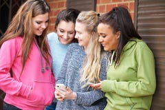 Grupo de amigos fêmeas adolescentes que leem a mensagem de texto imagens de stock Grupo de amigos fêmeas adolescentes que leem a mensagem de texto imagens de stock