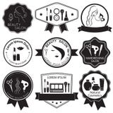 Grupo de moldes do logotipo da beleza ilustração royalty free Grupo de moldes do logotipo da beleza ilustração royalty free