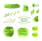 Grupo do vetor de ícones tirados aquarela, produtos naturais, conceito saudável orgânico comer, coleção dos desenhos ilustração stock Grupo do vetor de ícones tirados aquarela, produtos naturais, conceito saudável orgânico comer, coleção dos desenhos ilustração stock