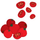 Grupo Painterly do vetor de tomates de cereja, cru e cortado ilustração do vetor Grupo Painterly do vetor de tomates de cereja, cru e cortado ilustração do vetor