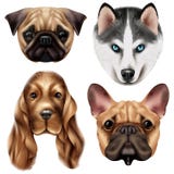 Grupo realístico do ícone da raça do cão ilustração stock Grupo realístico do ícone da raça do cão ilustração stock