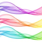 Grupo sumário colorido de linhas transparentes isoladas da onda ilustração stock Grupo sumário colorido de linhas transparentes isoladas da onda ilustração stock