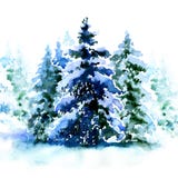 Gruppe Weihnachtsbäume bedeckte den Schnee im Winter lokalisiert Stockfoto Gruppe Weihnachtsbäume bedeckte den Schnee im Winter lokalisiert Stockfoto