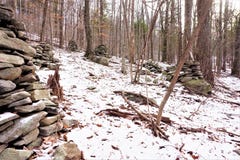 Gruppen av övergav rösen i Catskill parkerar arkivfoto Gruppen av övergav rösen i Catskill parkerar arkivfoto