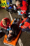 Gruppo paramedico che aiuta il driver di motociclo danneggiato fotografia stock libera da diritti Gruppo paramedico che aiuta il driver di motociclo danneggiato fotografia stock libera da diritti