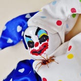 Gruseliger Clown-Doll With Spider-Freund stockbilder Gruseliger Clown-Doll With Spider-Freund stockbilder