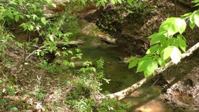 Gruzja, Jones mosta park, A mała zatoczka która płynie w Chattahoochee rzekę zbiory wideo Gruzja, Jones mosta park, A mała zatoczka która płynie w Chattahoochee rzekę zbiory wideo
