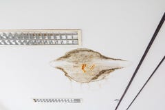 Grzyb w gipsowym podsufitowym wewnętrznym budynku uszkadzającym od wodnego wycieku fotografia stock Grzyb w gipsowym podsufitowym wewnętrznym budynku uszkadzającym od wodnego wycieku fotografia stock