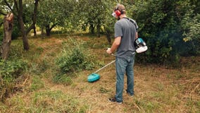 Gräsklippare som klipper grönt gräs i fruktträdgård genom att använda radbeskäraren stock video Gräsklippare som klipper grönt gräs i fruktträdgård genom att använda radbeskäraren stock video