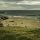 Gräsmattaöverkant av stranden fotografering för bildbyråer Gräsmattaöverkant av stranden fotografering för bildbyråer