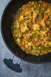 Grönsakcurryrecept royaltyfria bilder Grönsakcurryrecept royaltyfria bilder