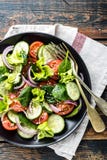 Grönsaksallad av den ny tomaten, gurkan, spenat, löken och grönsallat på plattan fotografering för bildbyråer Grönsaksallad av den ny tomaten, gurkan, spenat, löken och grönsallat på plattan fotografering för bildbyråer