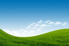 Grönt fält och blå Sky Arkivbilder Grönt fält och blå Sky Arkivbilder