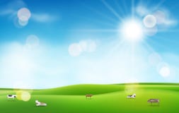 Grönt gräs med solen och blå himmel suddiga ljusa effekter och kor för din design vektor illustrationer Grönt gräs med solen och blå himmel suddiga ljusa effekter och kor för din design vektor illustrationer