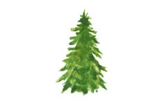 Grönt träd för vattenfärgjul illustratören för illustrationen för handen för borstekol gör teckningen tecknade som look pastell t royaltyfria foton Grönt träd för vattenfärgjul illustratören för illustrationen för handen för borstekol gör teckningen tecknade som look pastell t royaltyfria foton