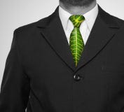 Grüne Exekutive lizenzfreies stockbild Grüne Exekutive lizenzfreies stockbild