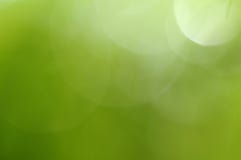 Grüner Hintergrund