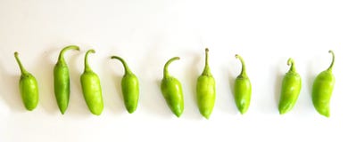 Grüner Paprika/Chili Pepper Lizenzfreies Stockfoto Grüner Paprika/Chili Pepper Lizenzfreies Stockfoto
