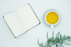Grüner Tee, sauberes Notizbuch lizenzfreies stockbild Grüner Tee, sauberes Notizbuch lizenzfreies stockbild