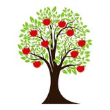 Grünes Baumschattenbild Baum mit Apple-Frucht Getrennt auf weißem Hintergrund Vektor stock abbildung Grünes Baumschattenbild Baum mit Apple-Frucht Getrennt auf weißem Hintergrund Vektor stock abbildung