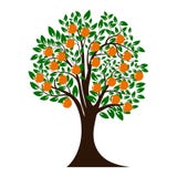 Grünes Baumschattenbild Weihnachtsbaum mit orange Früchten Getrennt auf weißem Hintergrund Vektor stock abbildung Grünes Baumschattenbild Weihnachtsbaum mit orange Früchten Getrennt auf weißem Hintergrund Vektor stock abbildung