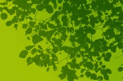 Grünes Blatt stock abbildung Grünes Blatt stock abbildung