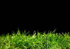 Grünes Gras auf Schwarzem lizenzfreies stockbild Grünes Gras auf Schwarzem lizenzfreies stockbild