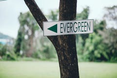 Grünes Zeichen fest auf einem grünen Baum, zum der Weise zu sagen Und das approp lizenzfreies stockfoto Grünes Zeichen fest auf einem grünen Baum, zum der Weise zu sagen Und das approp lizenzfreies stockfoto