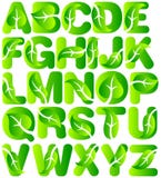 Grünes Ökologie-Blatt-Alphabet Grünes Ökologie-Blatt-Alphabet