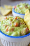 guacamole стоковые изображения guacamole стоковые изображения