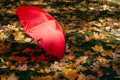 Guarda-chuva vermelho no outono imagem de stock Guarda-chuva vermelho no outono imagem de stock