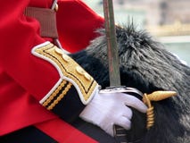 guardhäst royaltyfri foto guardhäst royaltyfri foto
