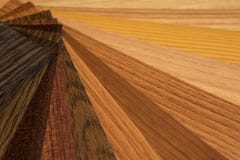 Guia das amostras da textura da paleta de cores e da madeira ilustração do vetor Guia das amostras da textura da paleta de cores e da madeira ilustração do vetor