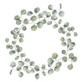 Guirlande d'aquarelle avec la branche d'eucalyptus de dollar en argent Illustration florale peinte à la main avec les feuilles ro illustration stock Guirlande d'aquarelle avec la branche d'eucalyptus de dollar en argent Illustration florale peinte à la main avec les feuilles ro illustration stock