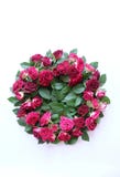 Guirnalda de rosas rojas Fotos de archivo libres de regalías Guirnalda de rosas rojas Fotos de archivo libres de regalías