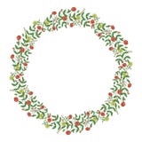 Guirnalda del vector de las flores y de las hierbas del jard?n Ejemplo dibujado mano del estilo de la historieta Marco lindo del stock de ilustración Guirnalda del vector de las flores y de las hierbas del jard?n Ejemplo dibujado mano del estilo de la historieta Marco lindo del stock de ilustración