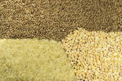 Guisantes, arroz, alforfón foto de archivo libre de regalías Guisantes, arroz, alforfón foto de archivo libre de regalías