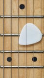 Guitar fretboard close up