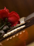 Guitar Passion Royalty Free Stock Images Guitar Passion Royalty Free Stock Images